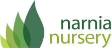 Narnia Nursery logo